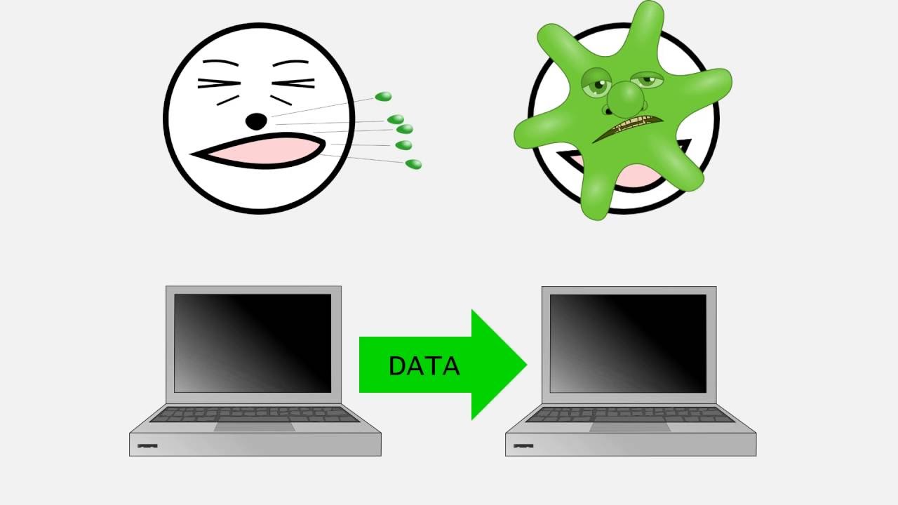 Lesson 15: Varieties of Malware