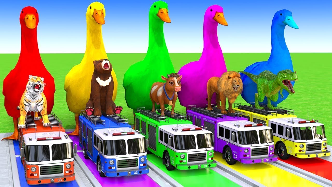 5 GIANT DUCKS and Friends Cross the Famous Fountain in EPIC Animation