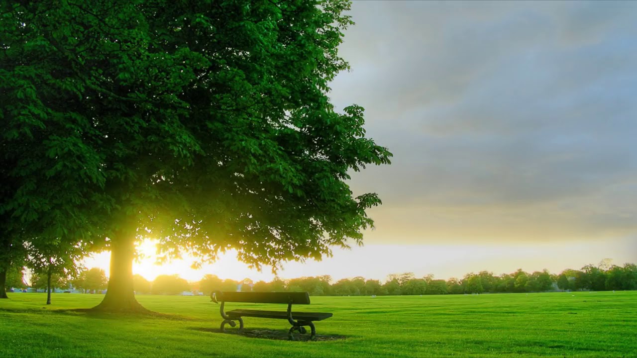 🎧 MEDITA&Ccedil;&Atilde;O GUIADA | LOUISE HAY | COMO OBTER ORIENTA&Ccedil;&Atilde;O DO EU SUPERIOR 💜
