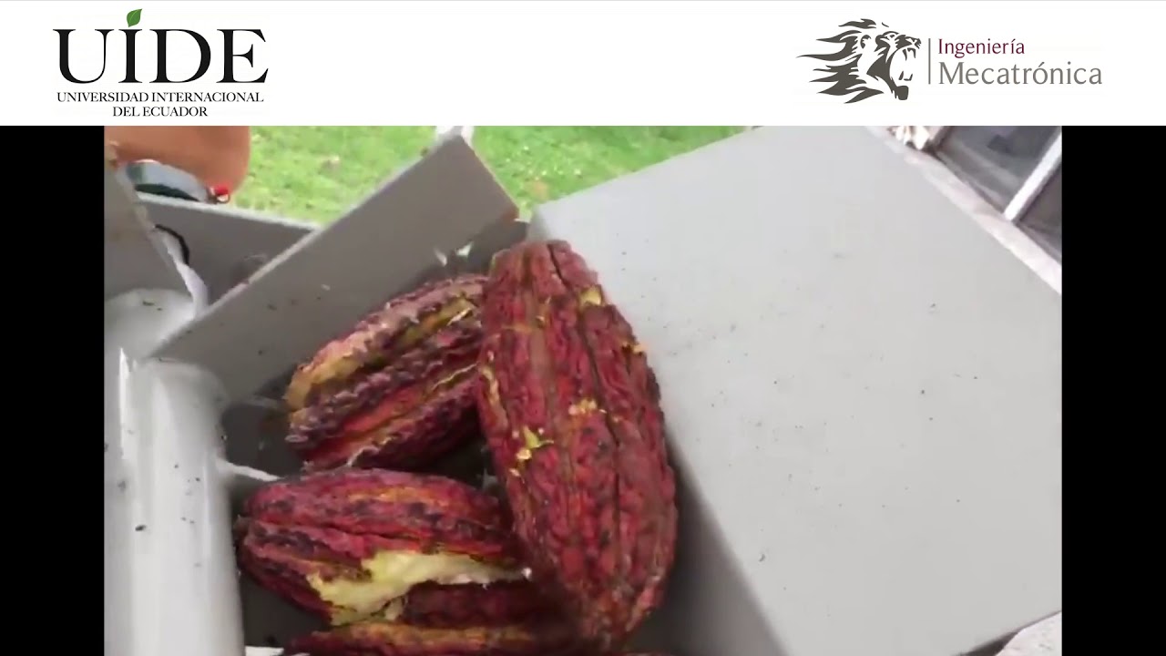 Titulación: 2017 Máquina despulpadora de Cacao