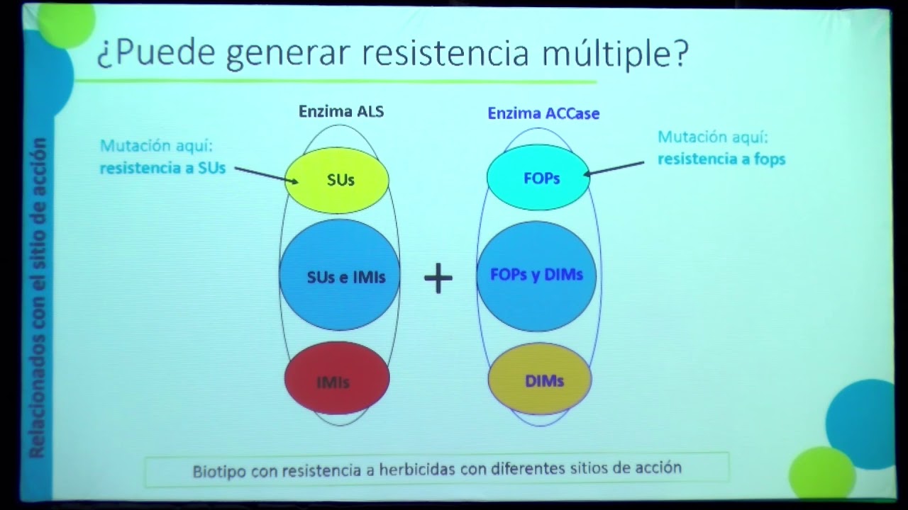 Mecanismo de resistencia a herbicidas: origen y consecuencias eco fisiológicas y evolutivas
