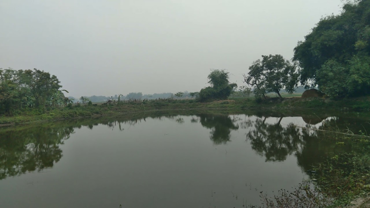 Airforce  purnea