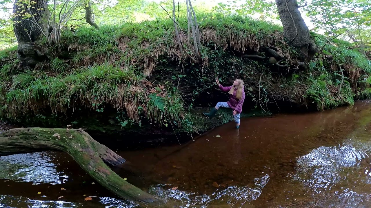 Woodland Dean River Walk