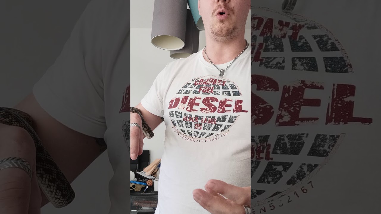 Manipulation d'un python et sociabilisation