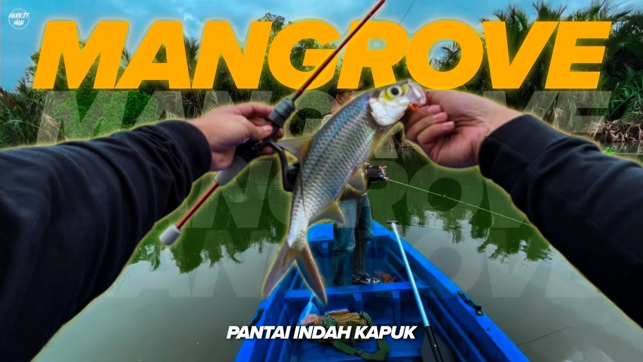 Mancing di mangrove PIK | Ultralight Fishing