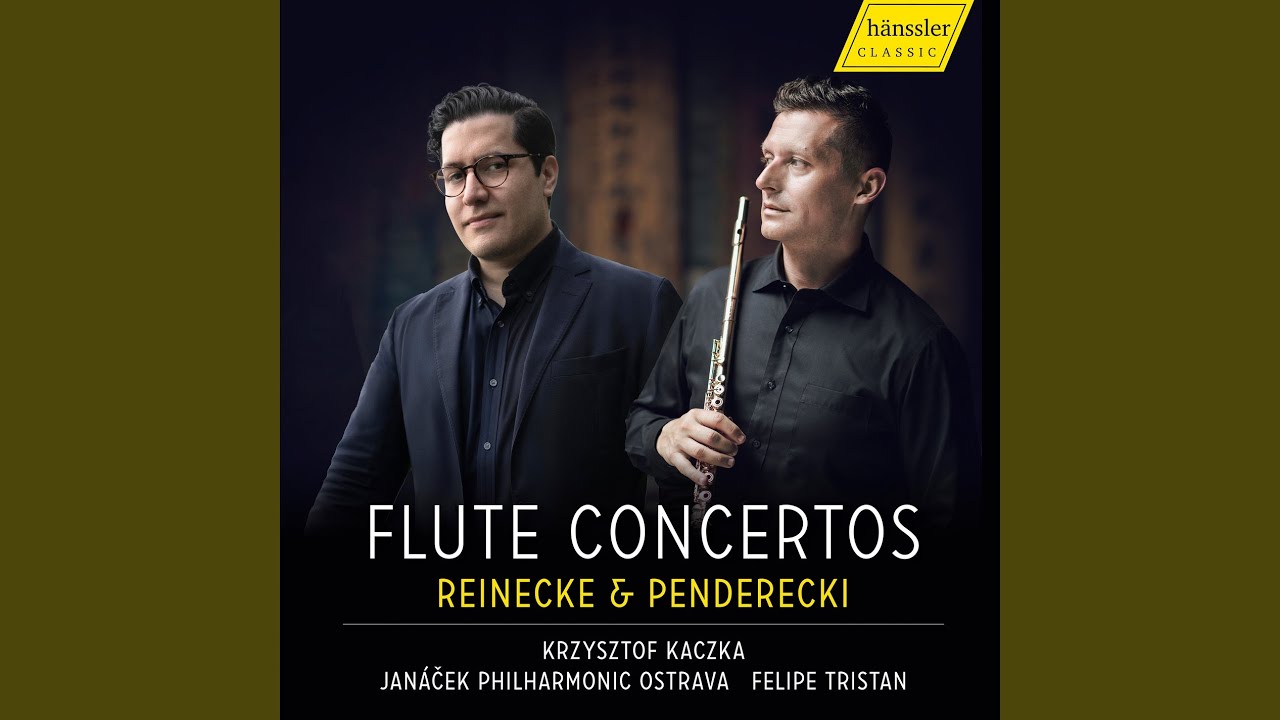 Flute Concerto D Major Op. 283 Finale moderato