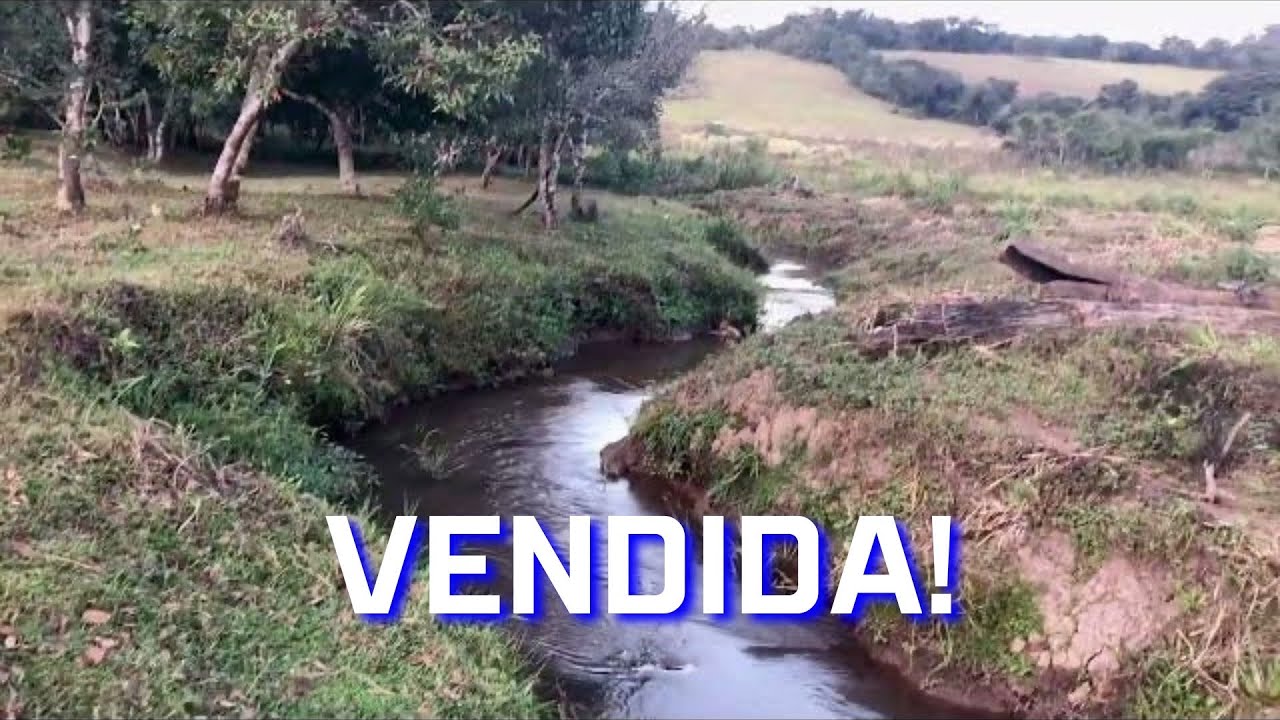 VENDIDO!!!Terreno de 10 hectares em Estiva Mg, Ideal para sítio produtor de leite. Valor de 690 MIL!