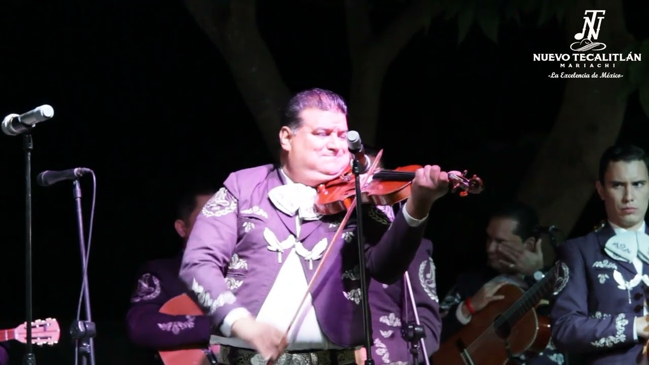 MARIACHI NUEVO TECALITLÁN / FANTASÍA CLASICA (RONDINELA Y LAS BODAS DE LUIS ALONSO