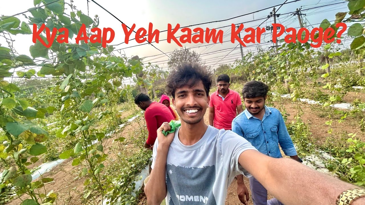 Agricultural farming vlog with friends #sael99