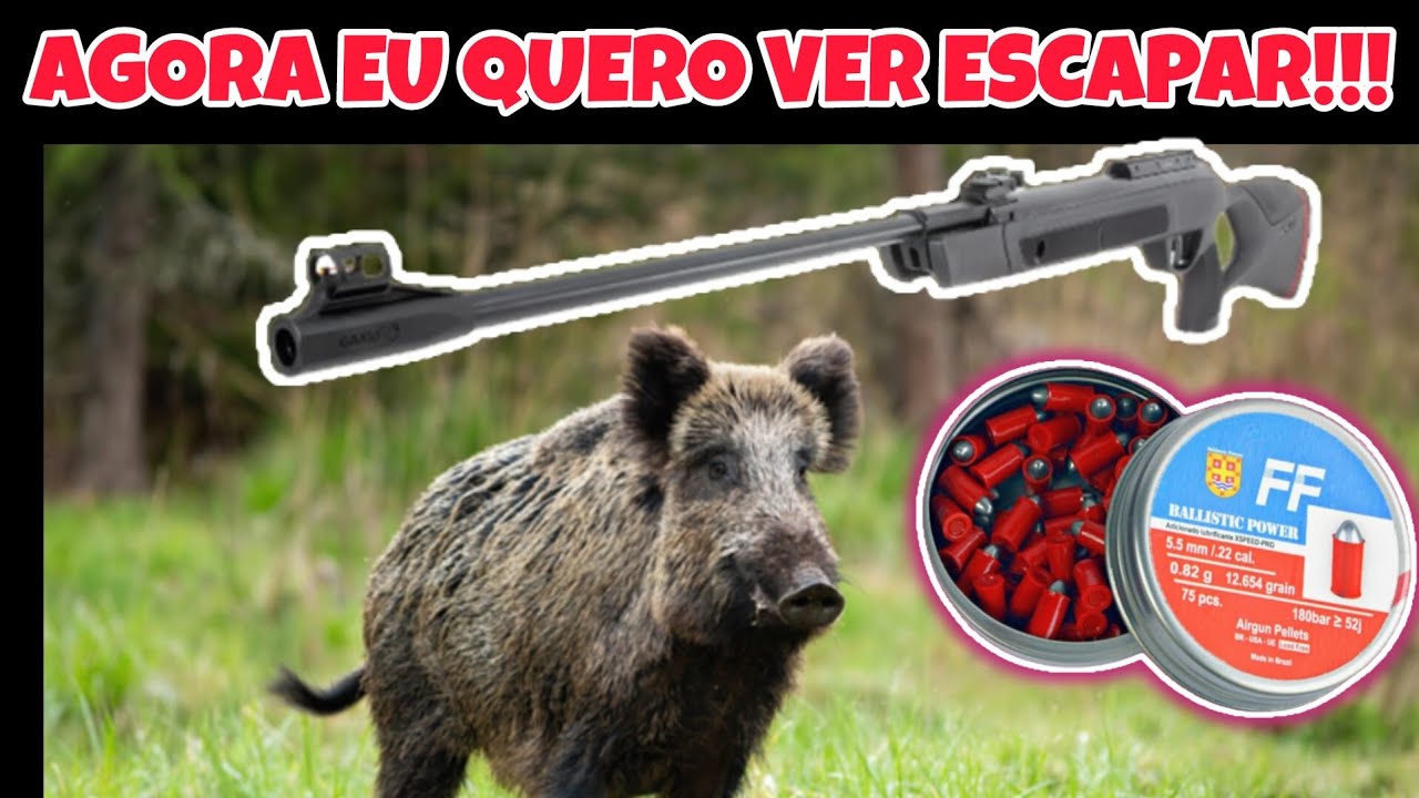 Servem para controle? Incrível resultado do FF com CBC GII, Dione 5G e Gamo G-Magnum