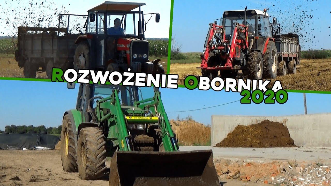 Rozwożenie Obornika 2020㋡Zając ucieka przed MF-em?!㋡2 zestawy㋡Agro Wlkp