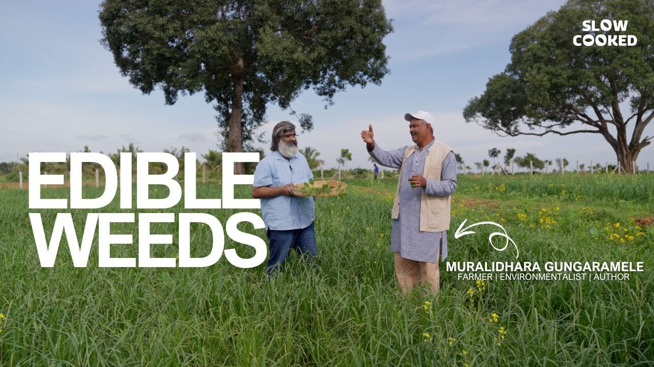 Why Understanding Weeds Is The Secret To Better Farming
