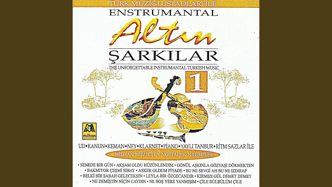 Bu Ne Sevgi Ah Bu Ne Izdırap