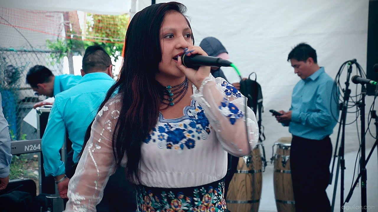 Mary Paucar -  Oso bravo de la montaña