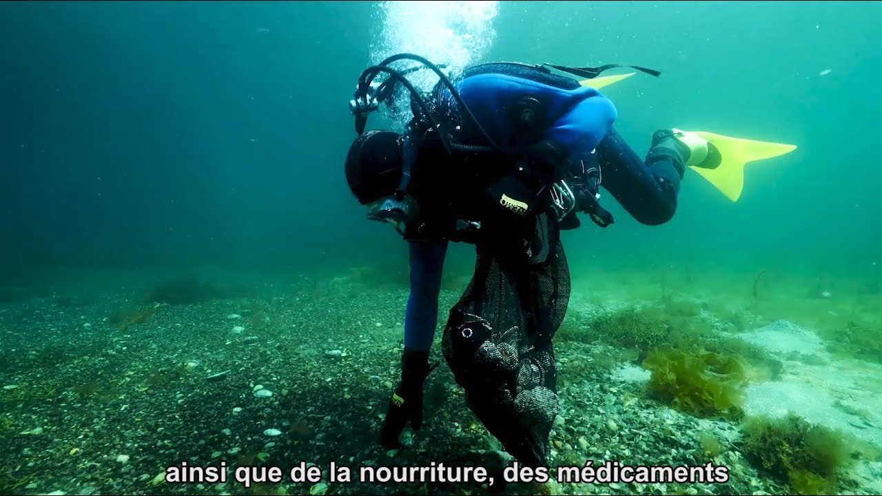 La mer du Nord et l&rsquo;humain