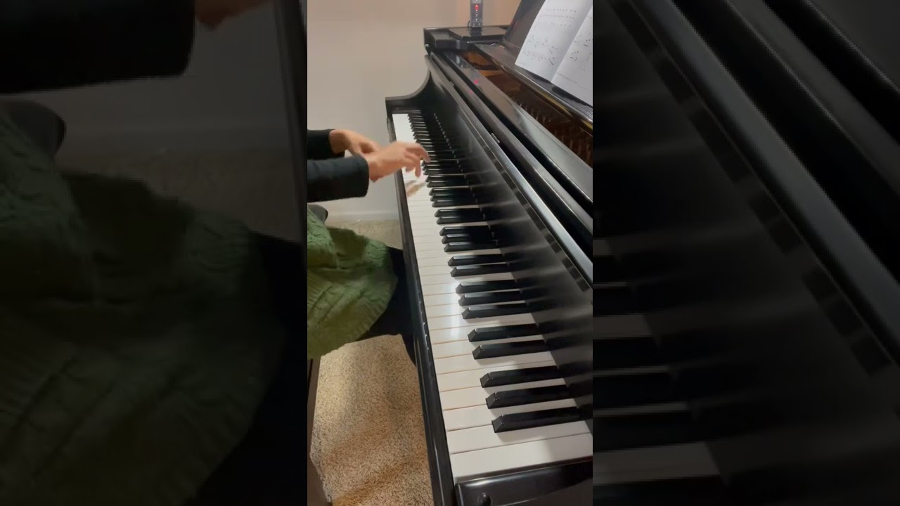 The Fly&rsquo;s Adventure (Piano Adventures Performance Book 3A)