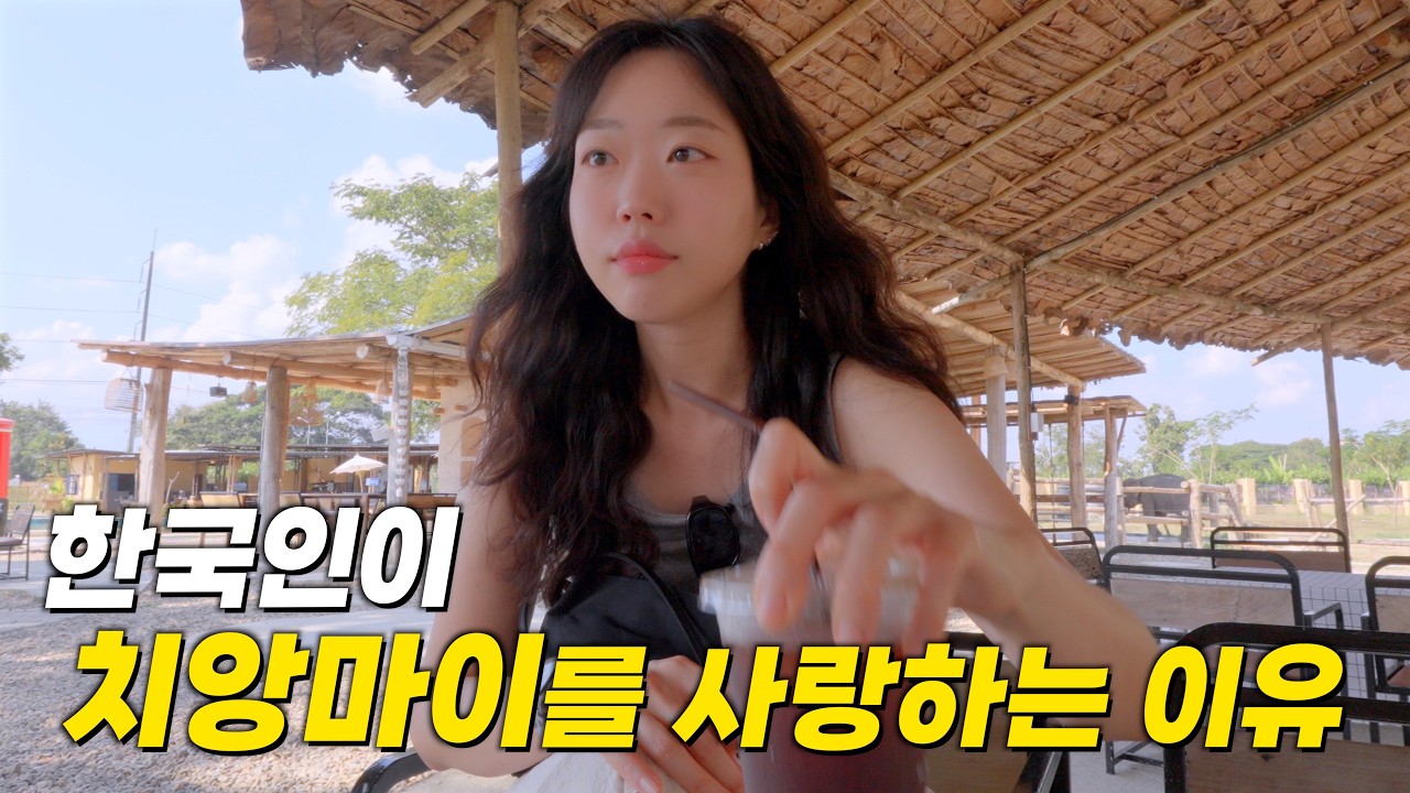 할거 없다는 치앙마이? 꽉 채운 1day 완벽코스! 무료요가·코끼리 카페·맛집·야시장까지