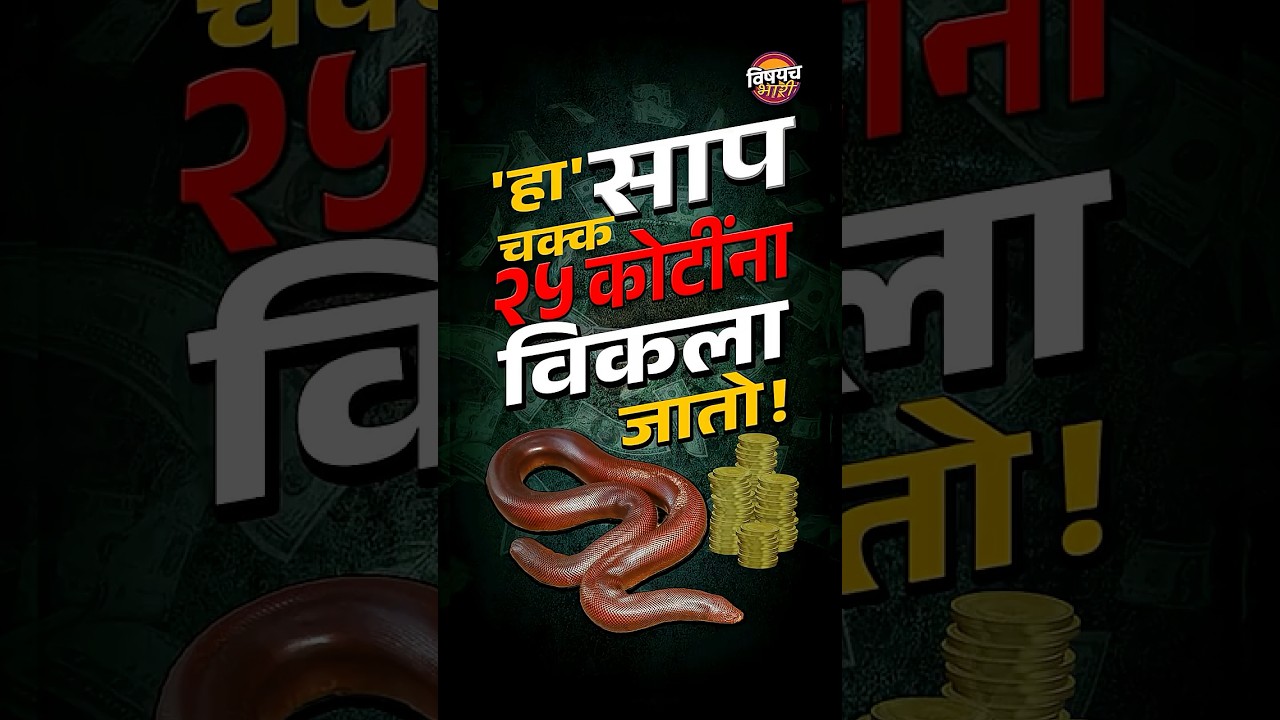 हा साप चक्क 25 कोटींना विकला जातो! | Vishaych Bhari