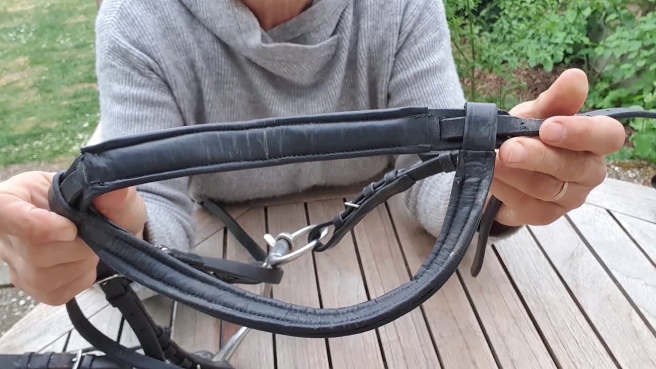 Reitschule Teil 7 Die Trense