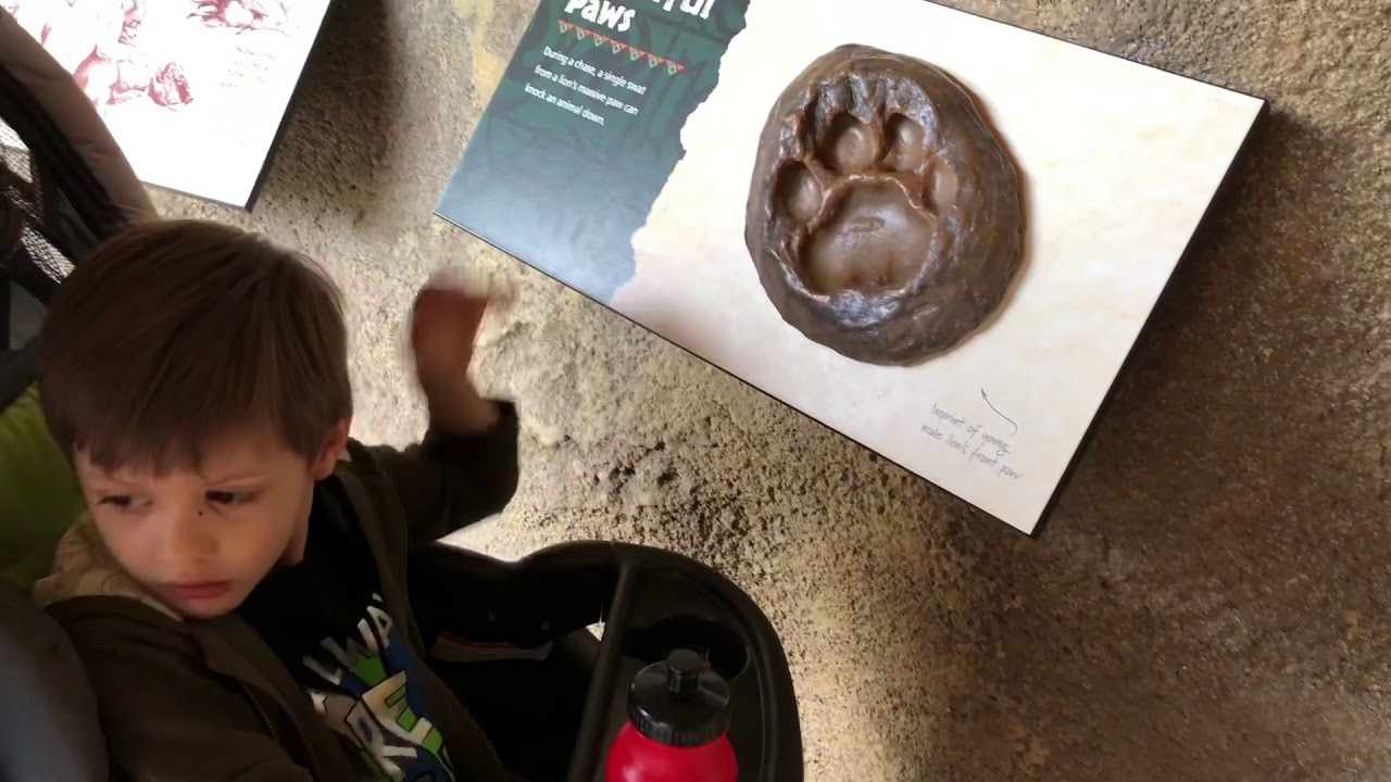 Fort Wayne Children’s Zoo