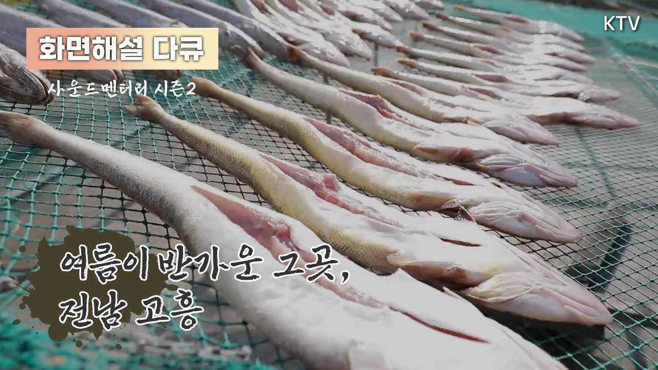 (화면해설) 사운드멘터리 풍경소리 시즌2 16회 여름이 반가운 그곳, 전남 고흥 #사운드멘터리 #다큐멘터리 #화면해설 #장애인 #장애인방송