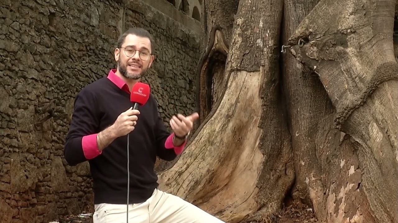 Histórias da Câmara: Conheça a Ladeira da Memória