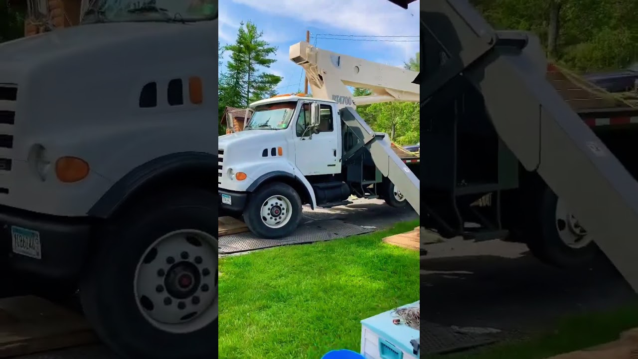 Tree Removal Storm Damage | #shorts