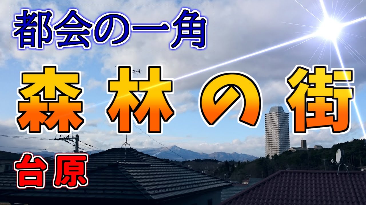 【ニュータウン探訪】都会の一角 森林の街 台原（仙台市青葉区）