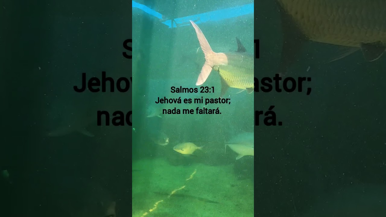 Con Dios, lo tenemos todo. 
