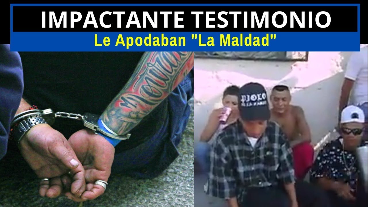 IMPACTANTE TESTIMONIO: Le Apodaban 
