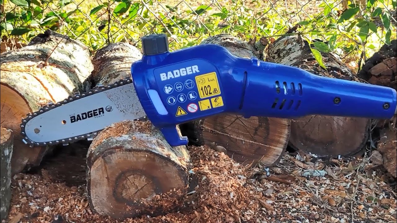 Wild Badger 40 Volt Cordless 8 Inch Electric Pole Saw review