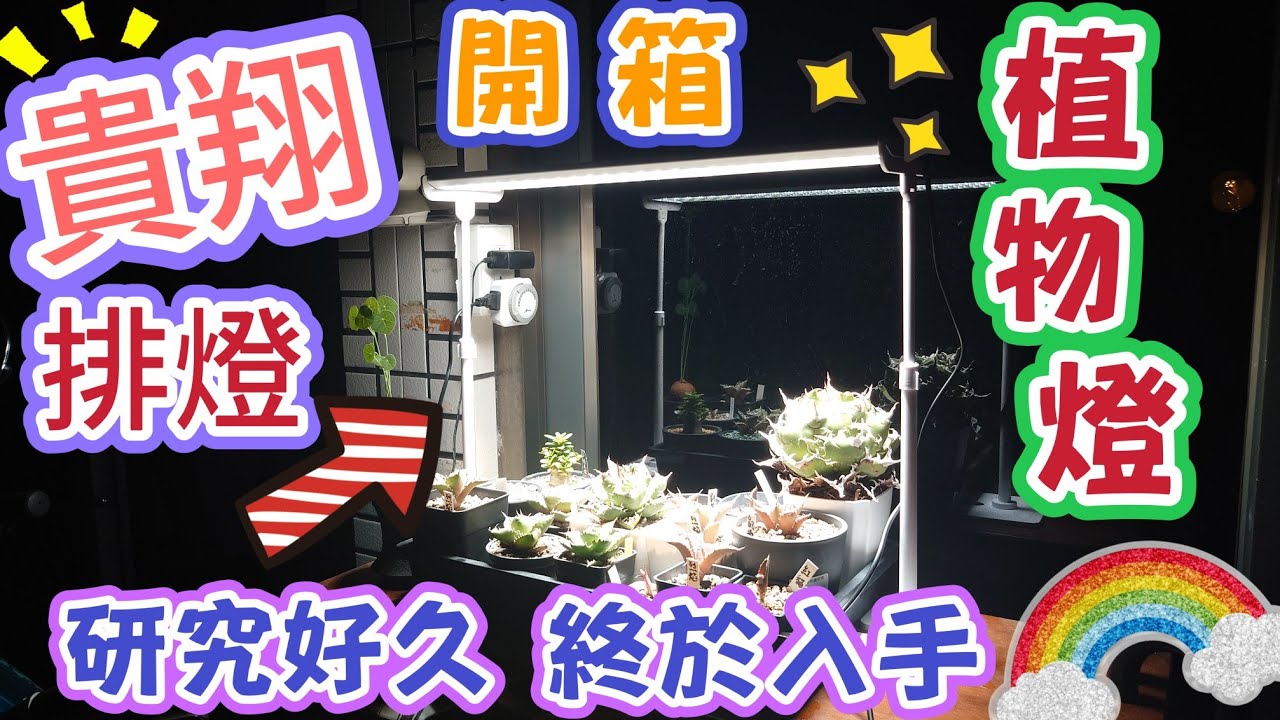 ［阿郁開箱］貴翔植物排燈#plants#caudex#succulent#agave#adenium#塊根#塊根植物#植物燈#龍舌蘭#多肉植物#多肉#沙漠玫瑰#開箱#教學#療癒#盆栽#花#bonsai