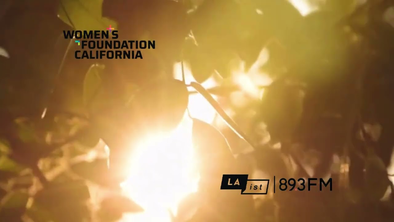 Our CEO Bia Viera’s Featured on LAist 89.3 Post Election 2024