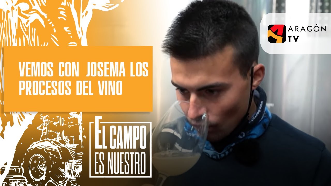 Vemos con Josema los procesos del vino