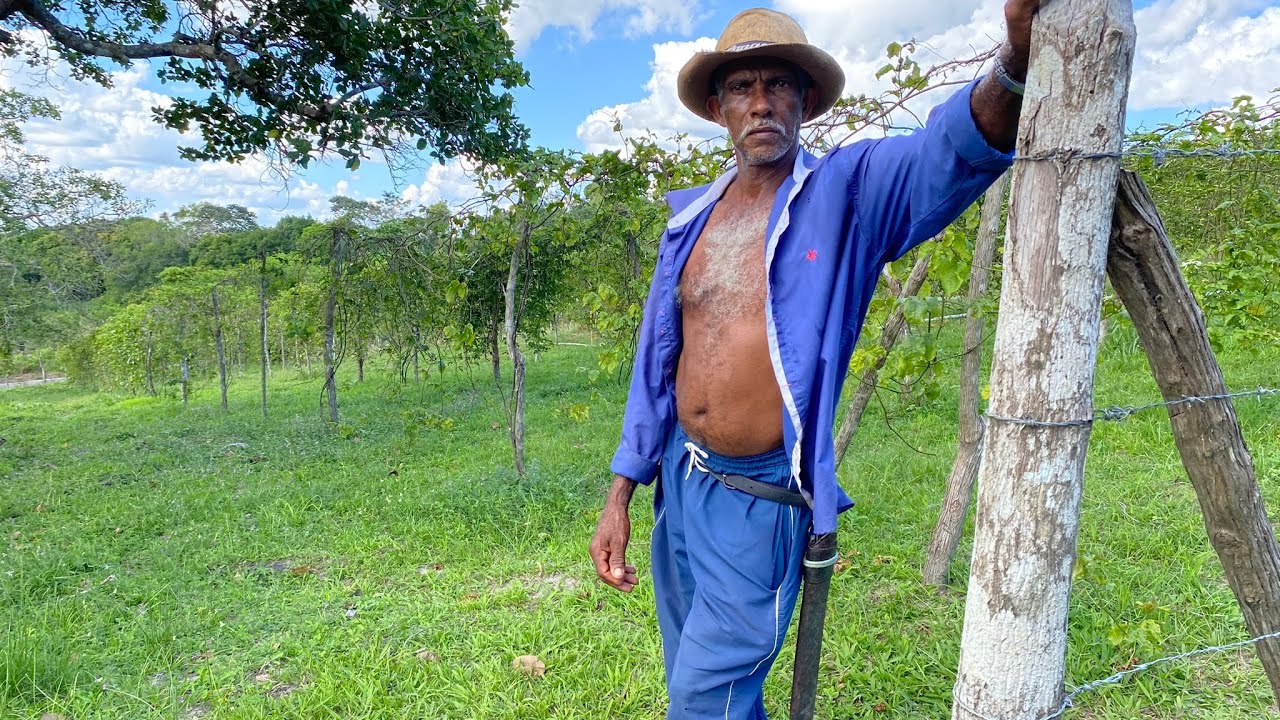 Sítio Autossuficiente no Interior da Bahia l Mata de São João