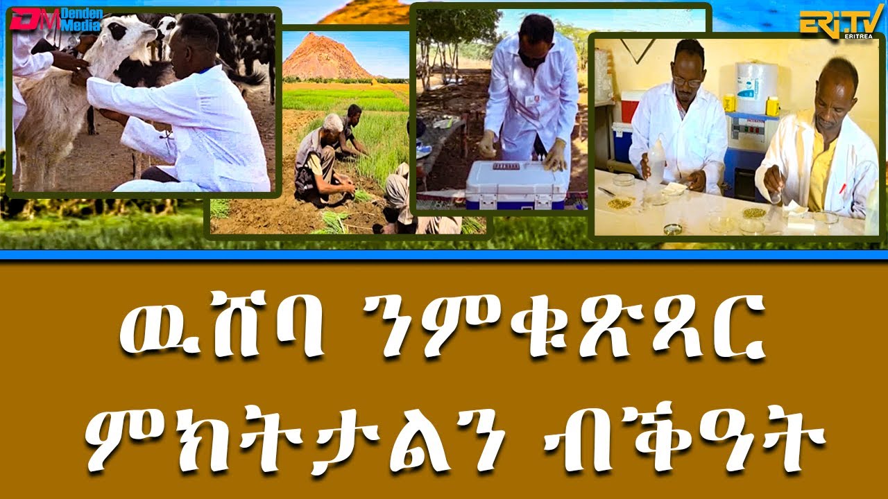 ዉሸባ ንምቁጽጻር ምክትታልን ብቕዓት  - ካብ ዞባታት | kab zobatat wusheba  | ERi-TV