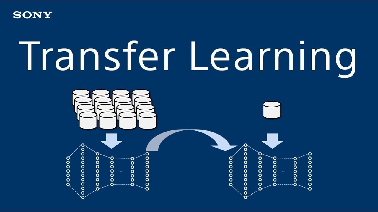 Transfer Learning in Deep Learning - Introduction to Deep Learning