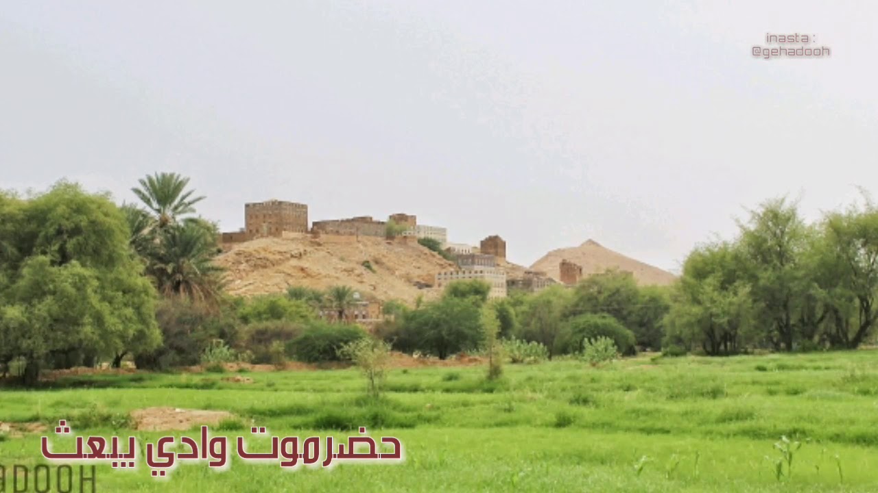 حضرموت وادي يبعث 2019