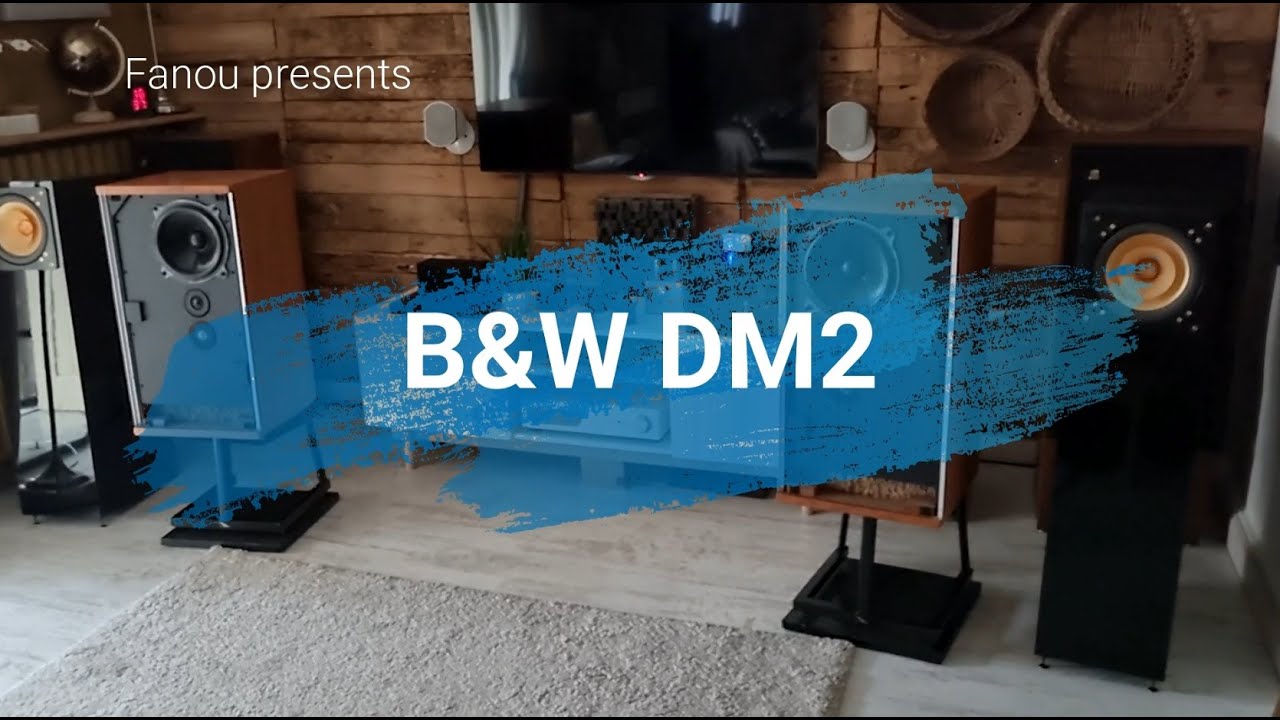 B&W DM2 