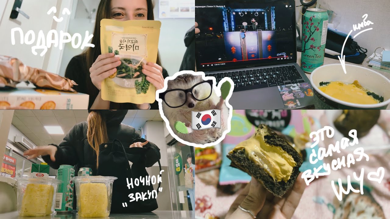 KOREA VLOG DIARY|начинаю понимать😍.../приятности от хозяйки/жду сертификат и учебники|15-16.02.2025