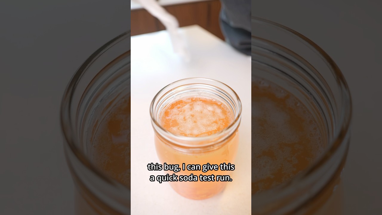 HOW TO MAKE A CARROT BUG