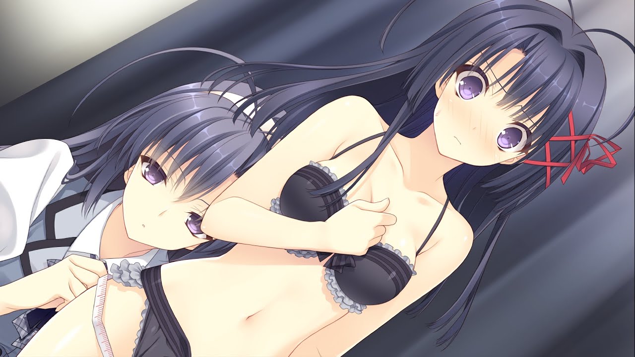 乙女理論とその周辺 BGM ゴシック✝ロリィタ✝プリンセス