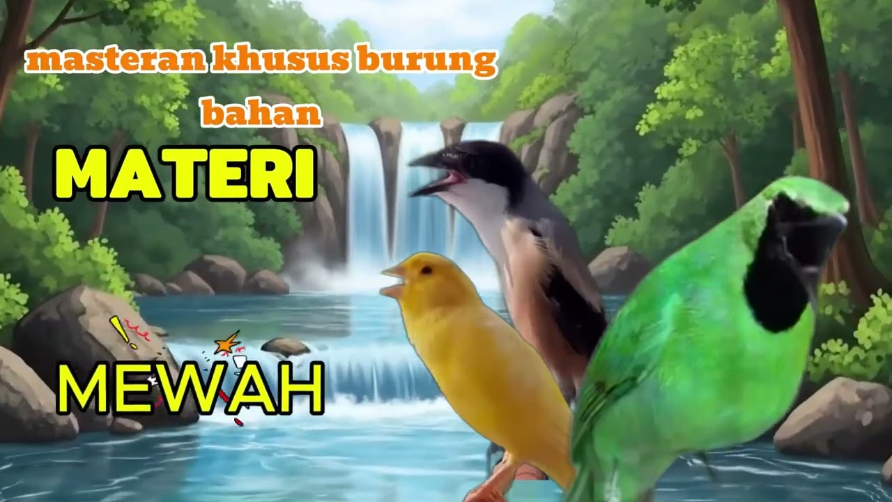 masteran burung 2026|masteran cendet juara|buat cendet pastol
