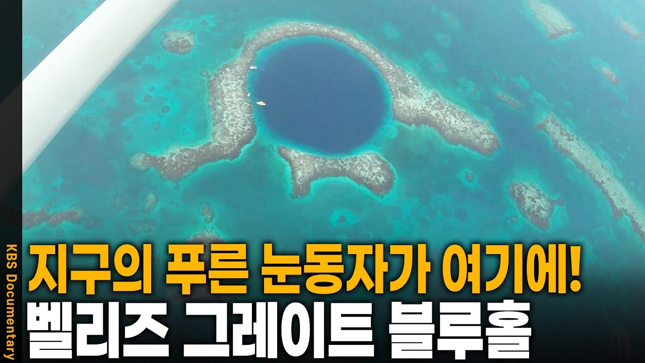 지구에서 가장 아름다운 블루홀! 벨리즈 그레이트 블루홀 | KBS 20241101 방송