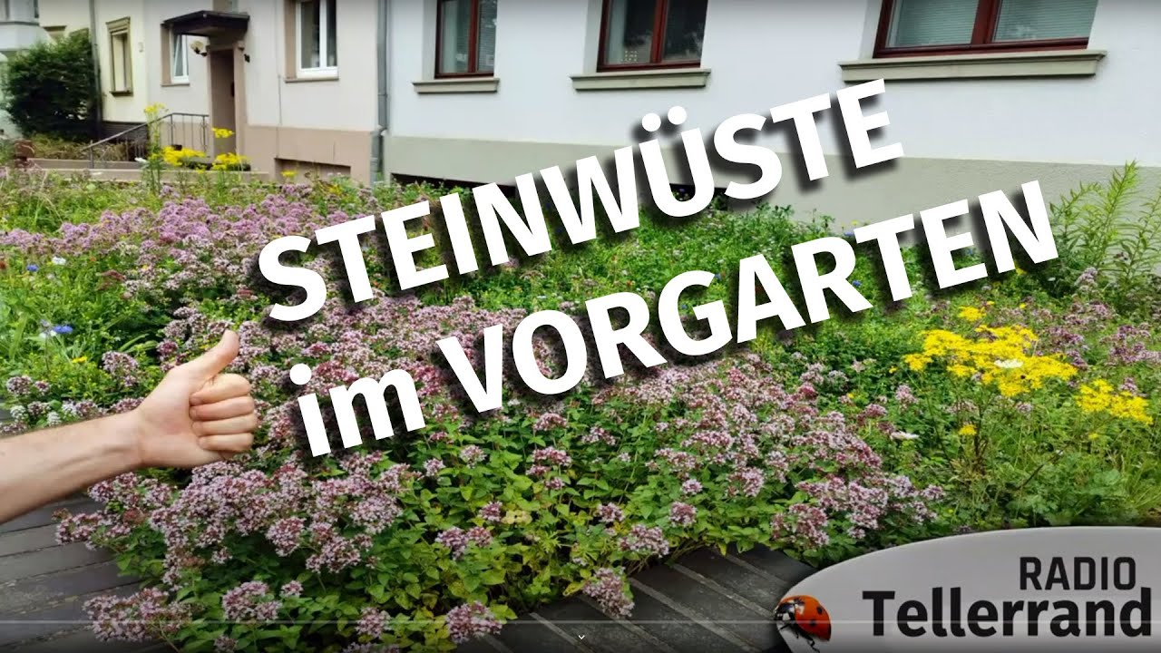 Tellerrand - Schotterwüsten in unserer Stadt - die Vorgärten