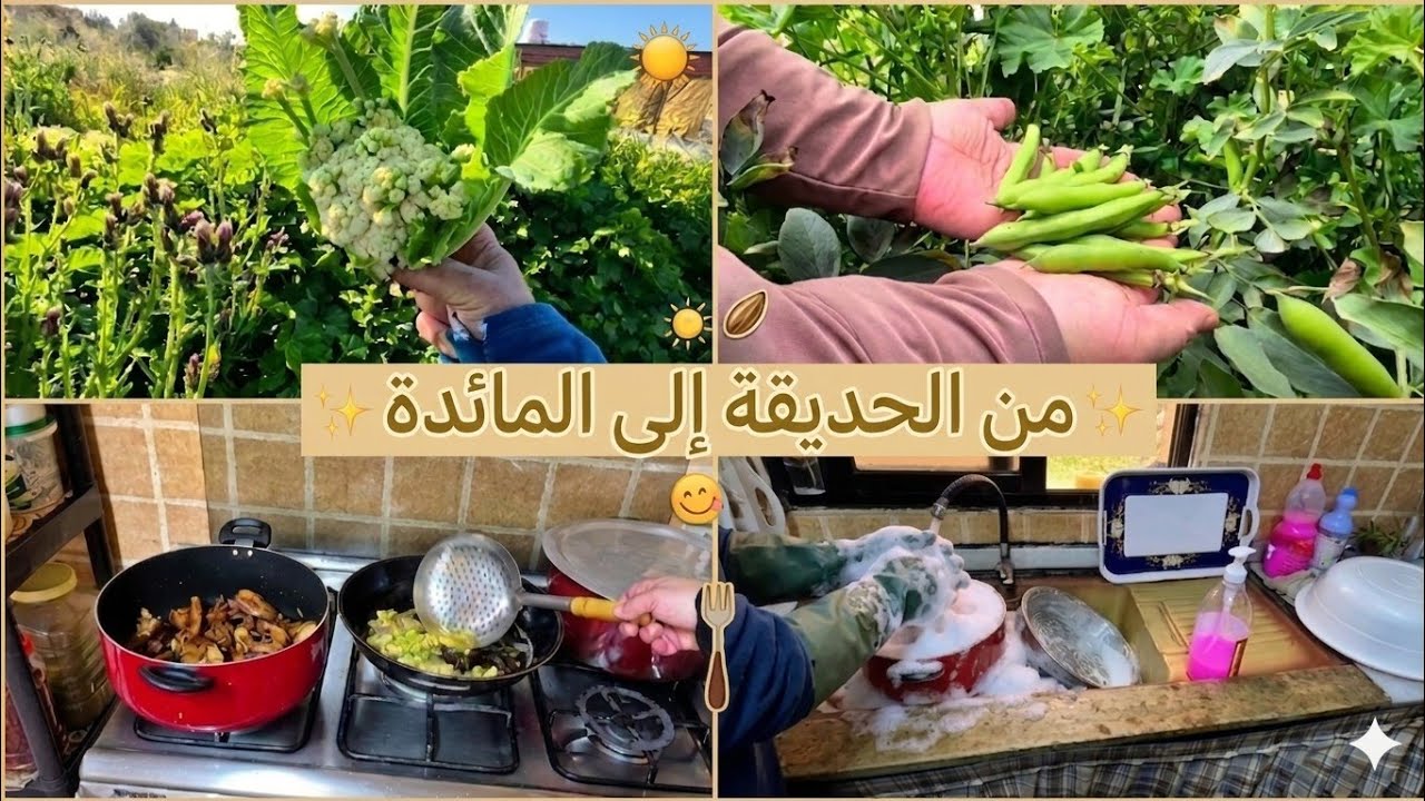 خطـ ـورة العودة من السعودية😱صدمة⁉‼هذا ما حصل لي😔