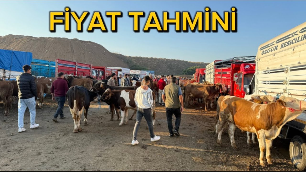 09 EYLÜL KIRIKKALE HAYVAN PAZARI GÜNCEL SATIŞLAR 
