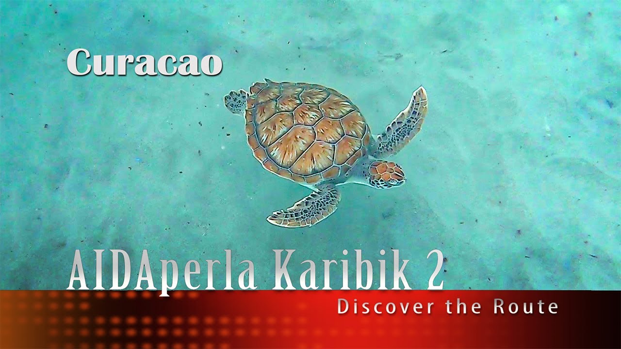 #11 - AIDAperla Karibik  Curacao