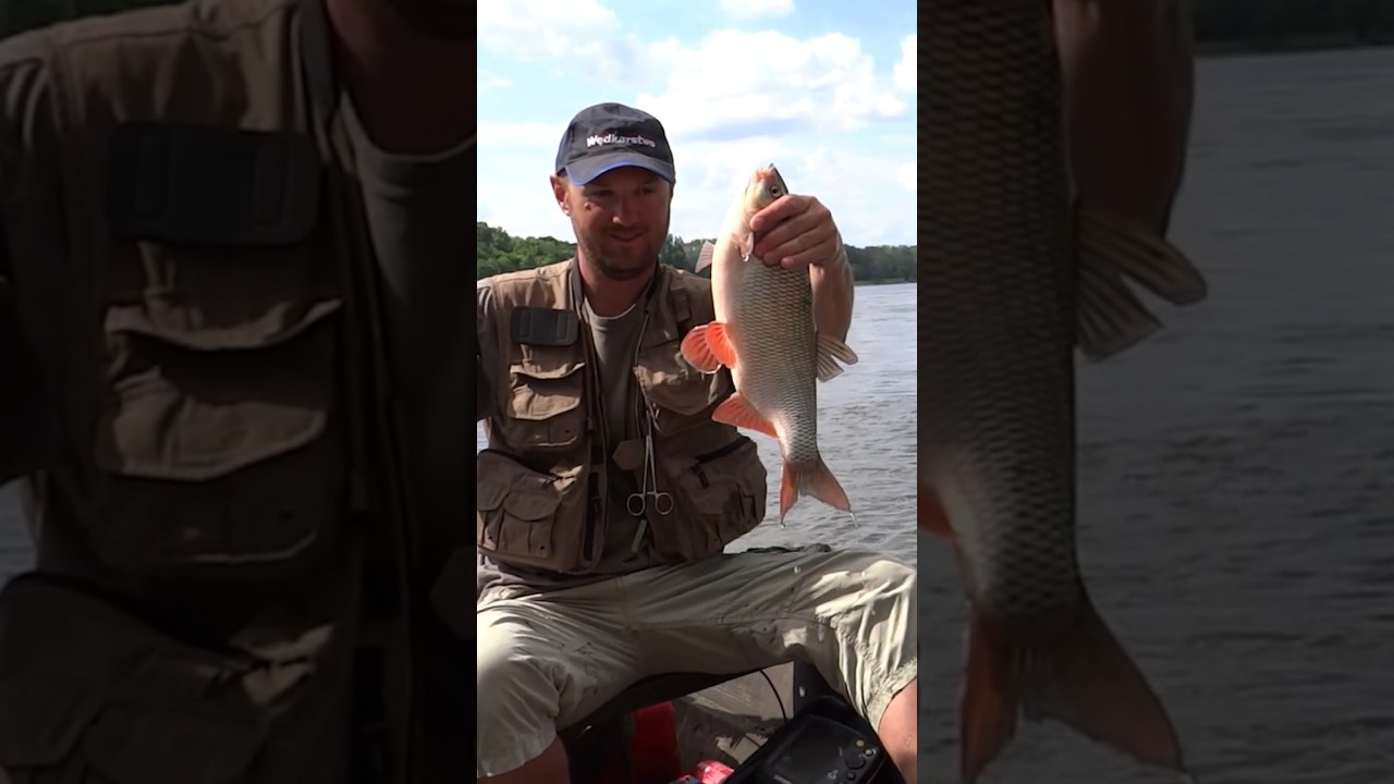 DRAPIEŻNE JAZIE? - biolog środowiskowy opowiada / cały film niebawem 😉🔥