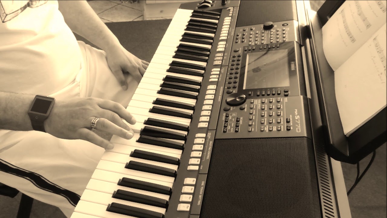 Muzyk nocy ( Musican of the night ) - Cover by Donkey - Yamaha PSR S770